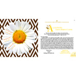 Trading Up for a King's Daughter • A-Z Secrets for Living Regally in Reality-Books-King's Daughters Regal Lifestyle Collection